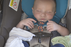 DSC3963-e1537629183586